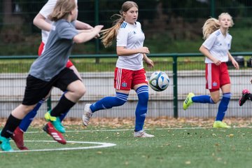 Bild 257 - wCJ Hamburger SV - Harburger TB : Ergebnis: 9:1